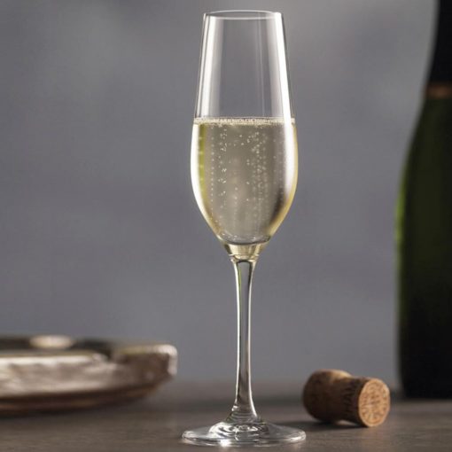 taca champagne haussmann Taça Champagne 244Ml Hausmann by SCHOTT 6 Peças