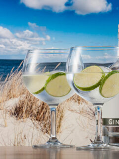 taca gin 710ml schott bar special 2 Taça Gin Drink 710Ml SCHOTT Bar 6 Peças