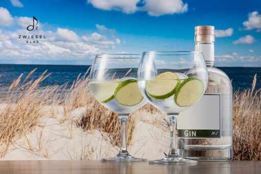 taca gin 710ml schott bar special 2 Taça Gin Drink 710Ml SCHOTT Bar 6 Peças